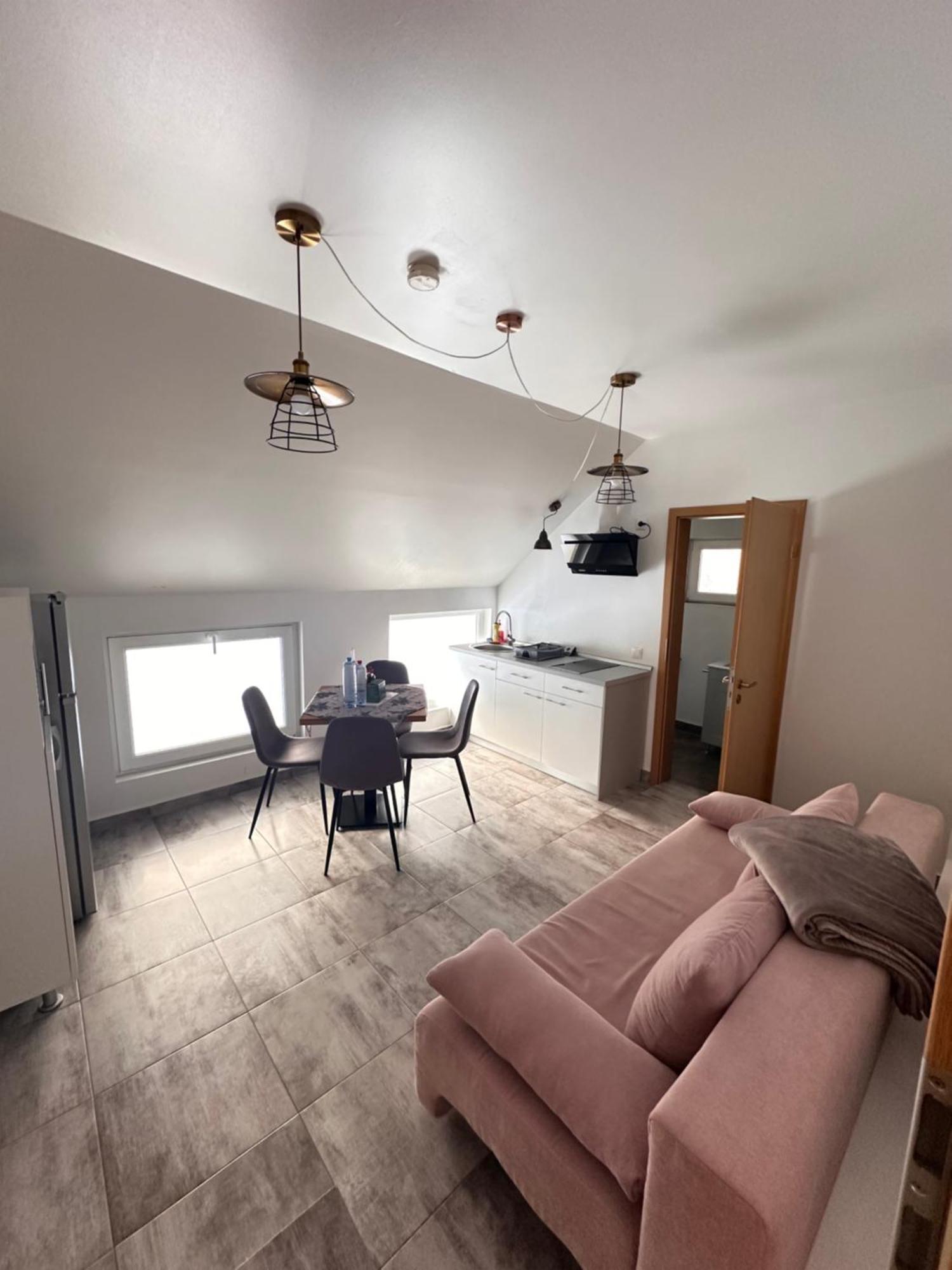 Red Family Apartments Păltiniş Extérieur photo
