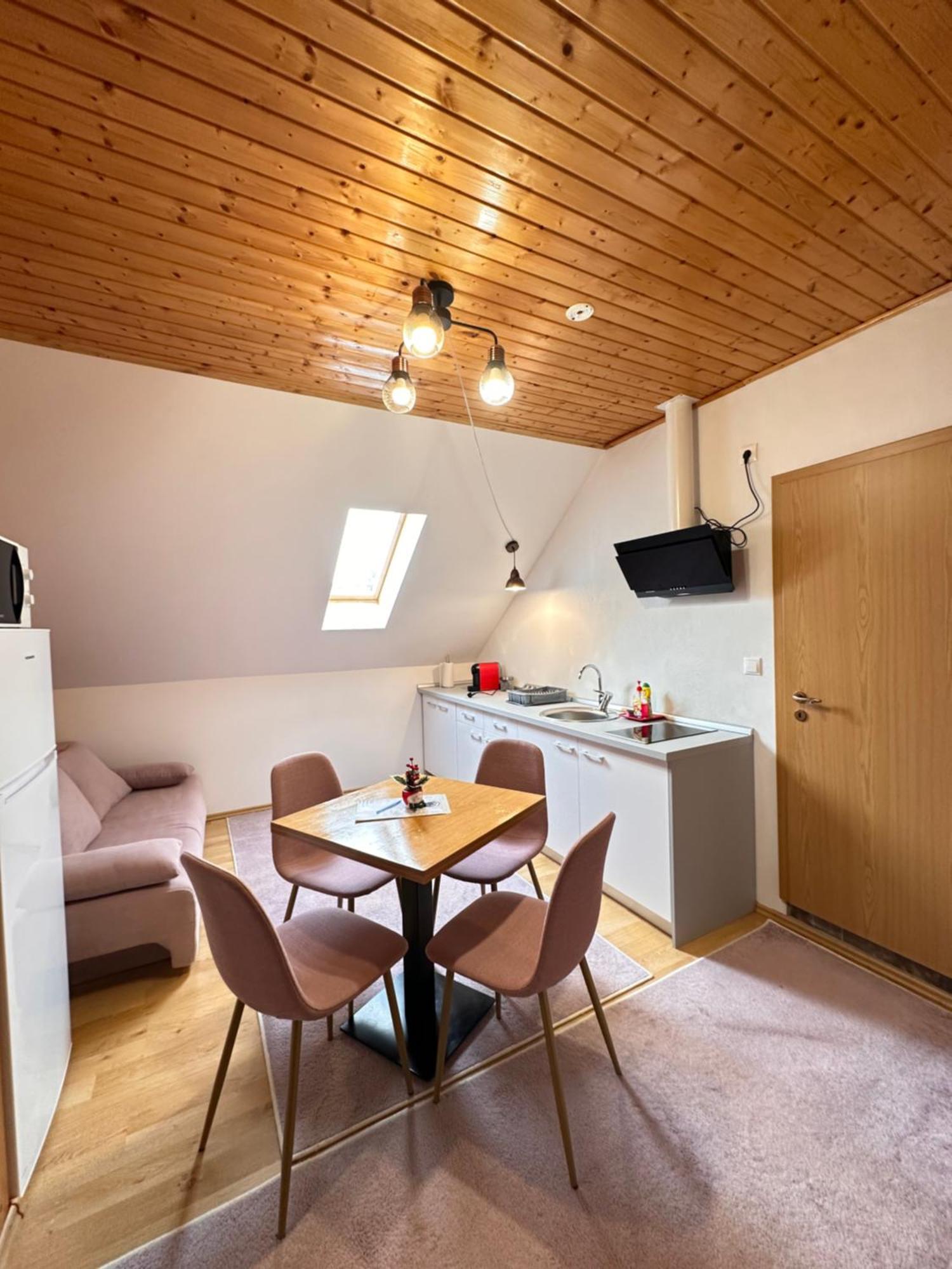 Red Family Apartments Păltiniş Extérieur photo